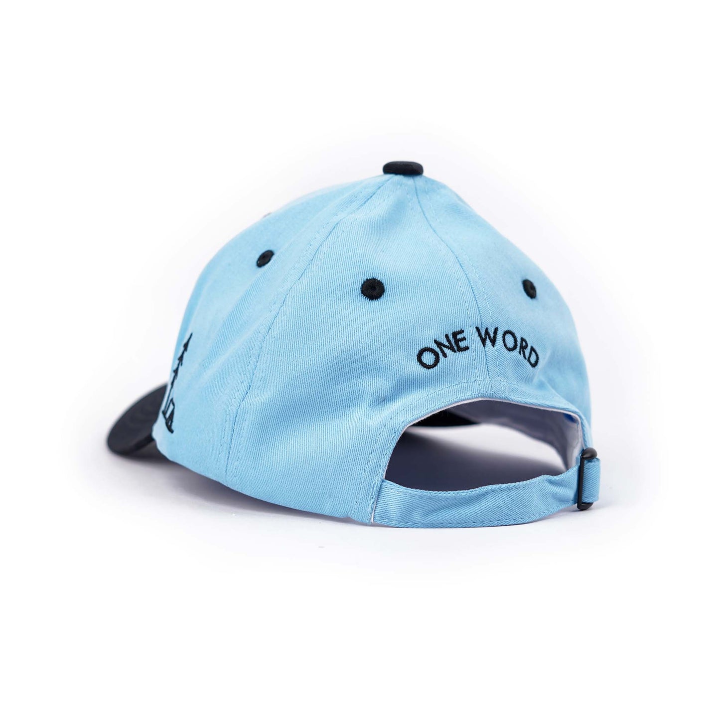 Blue Offline Cap