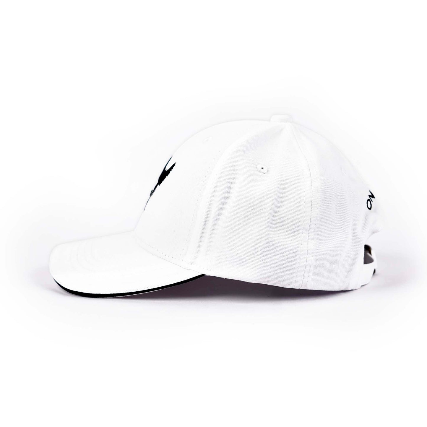 Fly Cap