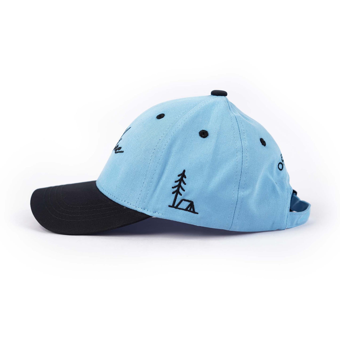 Blue Offline Cap