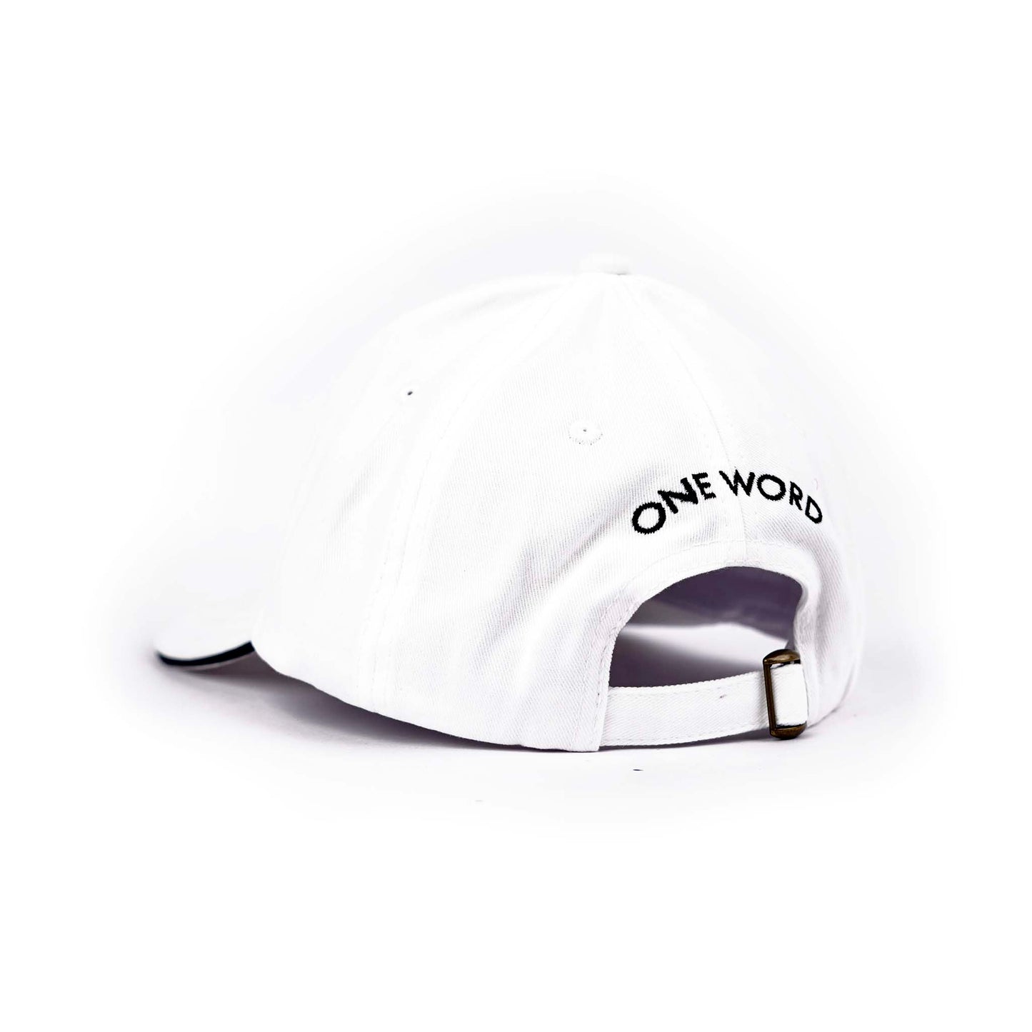 Fly Cap